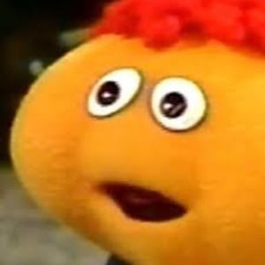 Meet your Posher, Bee